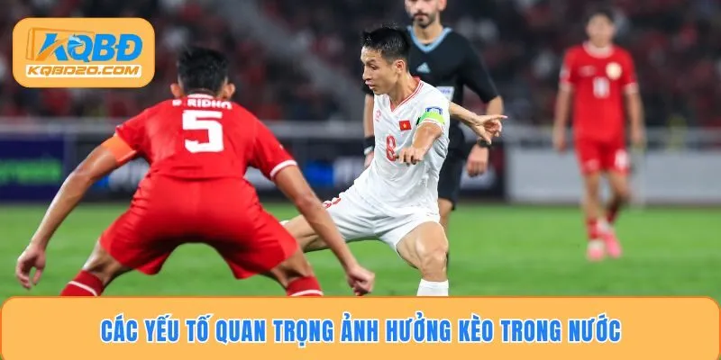 Các yếu tố quan trọng ảnh hưởng kèo trong nước