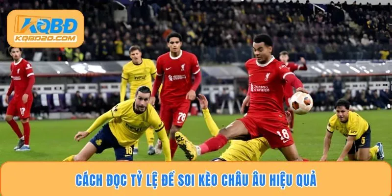 Cách đọc tỷ lệ để soi kèo châu âu hiệu quả