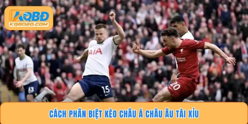 Cách phân biệt kèo châu Á châu Âu tài xỉu