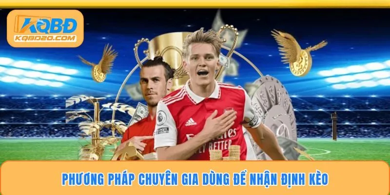Phương pháp chuyên gia dùng để nhận định kèo
