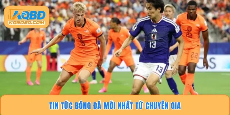 Tin tức bóng đá mới nhất từ chuyên gia