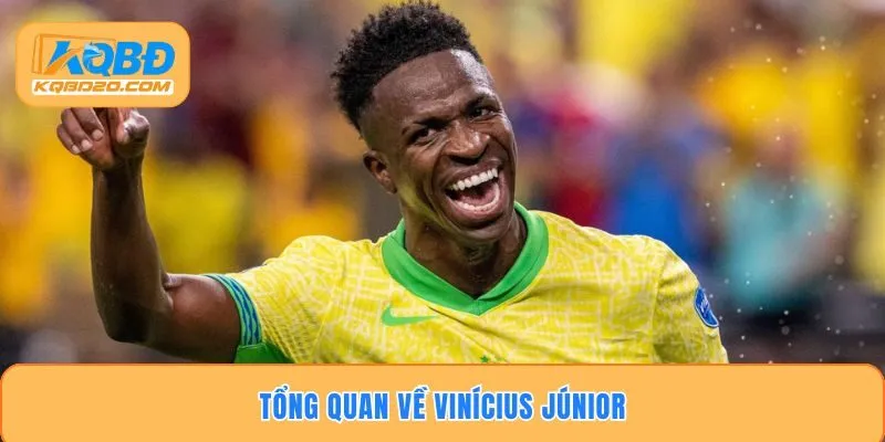 Tổng quan về Vinícius Júnior